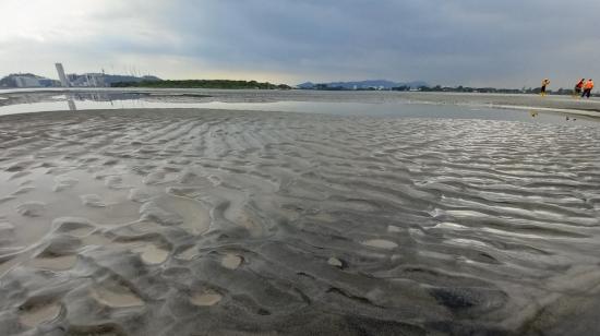 Los sedimentos han formado islotes a lo largo del río Guayas. Uno de ellos, El Palmar, cerca de Guayaquil, podría ser dragado en 2023.