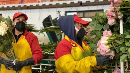 imagen referencial de una florícola en Cotopaxi en mayo de 2020.