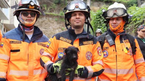 Bomberos rescatan a mascotas en la zona del desastre en Alausí, el 29 de marzo de 2023.