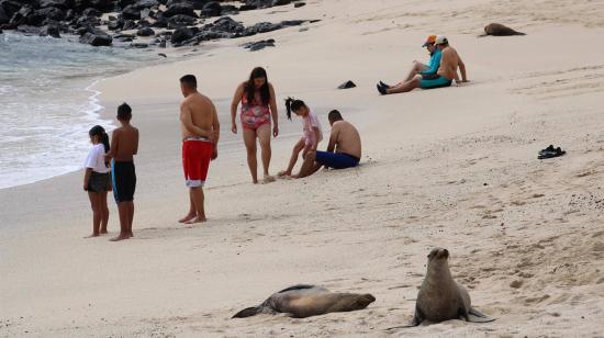 Archivo. Dos lobos marinos y un grupo de personas disfrutan de la playa Mann, en la isla San Cristóbal. 20 de agosto de 2021 Archipiélago Galápagos (Ecuador)