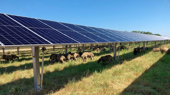 Imagen referencial de un proyecto agrosolar de 15,6 MWp de sombra fotovoltaica en un parque, de la francesa NEOEN S.A., el 26 de octubre de 2022.