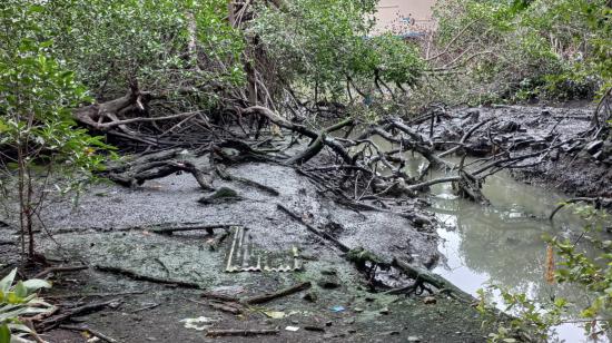 Ramal del Estero Salado contaminado, en el sector de la Kennedy Norte, en Guayaquil, el 18 de abril de 2023. 