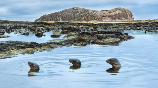 Imagen del Parque Nacional Galápagos, del 28 de diciembre de 2018.