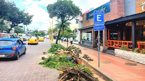 Retiro de árboles 'añosos' en la avenida Víctor Emilio Estrada de Guayaquil, 24 de abril de 2023. 