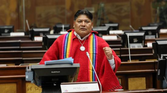 El asambleísta Peter Calo (Pachakutik), en sesión del Pleno del 23 de febrero de 2023.