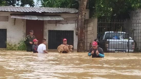 Personas y canes son rescatados en el cantón de Santa Rosa, El Oro, durante las últimas lluvias de marzo de 2023. 