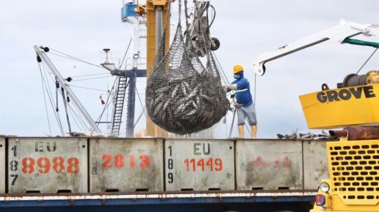 Descarga de atún en el Terminal Portuario de Manta, en la provincia de Manabí.