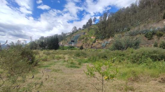 Imagen del terreno del bosque de arupos, en Quito, el 14 de junio de 2023.