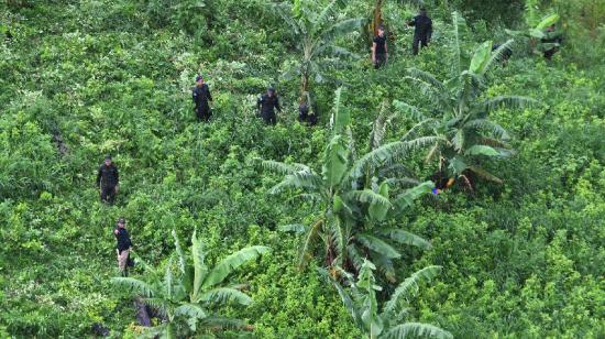 Soldados, miembros de la Agencia Técnica de Investigación Criminal (ATIC) y miembros de la Dirección de Lucha contra el Narcotráfico destruyen al menos 30 hectáreas de hoja de coca en Honduras, en agosto de 2022.