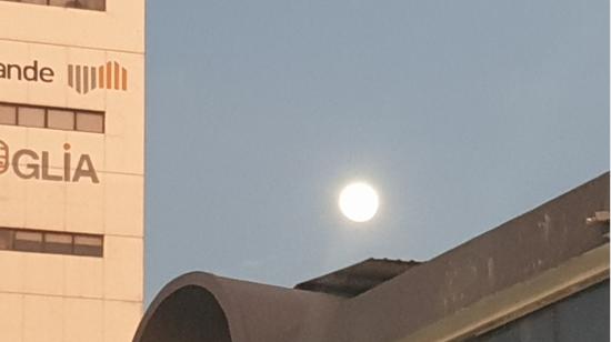 La luna de ciervo vista desde una terraza en el norte de Guayaquil, el 4 de julio de 2023. 