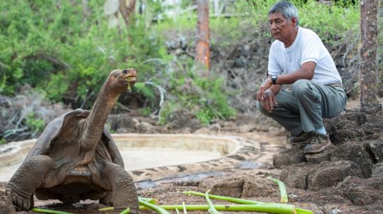 El Solitario George junto a su eterno cuidador, Fausto Llerena, en el parque Nacional Galápagos. 
