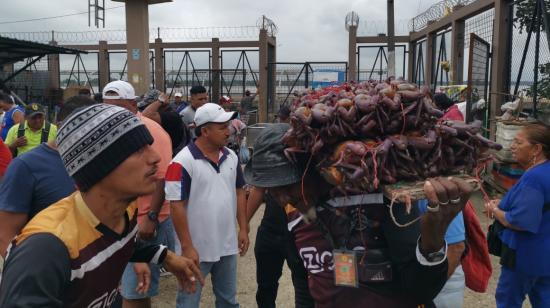 Descarga de cangrejos en el mercado de la Caraguay, al sur de Guayaquil. 