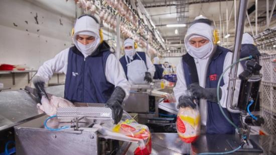 Imagen referencial de trabajadores de la empresa de alimentos Pronaca. 