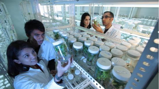 Científicos en un laboratorio de Yara analizando muestras de suelo. 