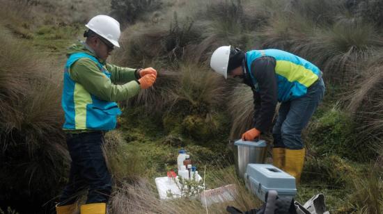 Técnicos del proyecto minero Loma Larga, junio de 2023.