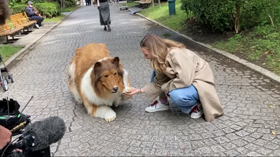 Toco, un hombre japonés, pasea por un parque con un elaborado disfraz de perro pastor collie.