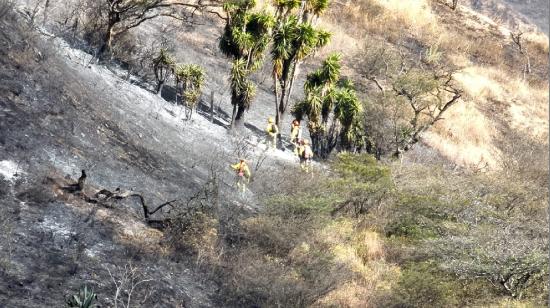 Vegetación consumida por el fuego en El Cisne, Loja, el 2 de agosto 2023