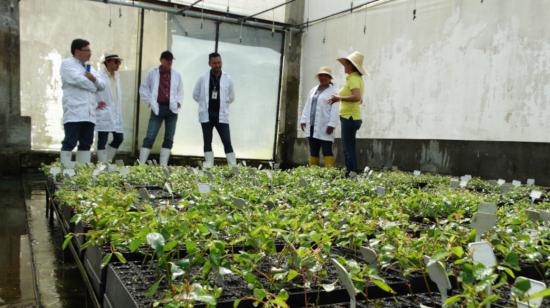 Estudiantes de la carrera de Producción y Manejo Forestal en Quito, en 2022.