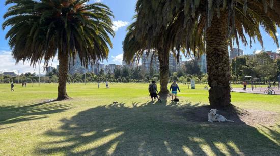 Personas y mascotas en el parque La Carolina, en Quito, el 20 de julio de 2023. 