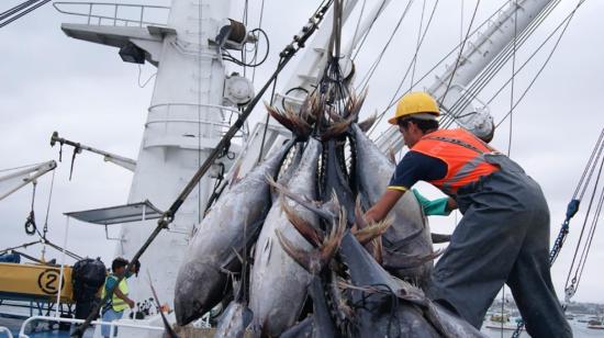 Foto referencial de pesca, en Ecuador de PNUD, de mayo de 2018.