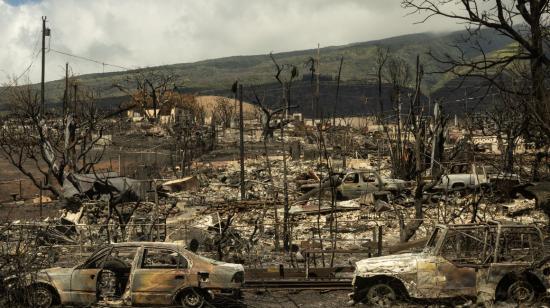 Carcasas de vehículos se ven entre las cenizas de un vecindario quemado después de un incendio forestal, en Lahaina, Hawái, Estados Unidos, el 14 de agosto de 2023.