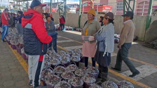 Personas de la tercera edad acuden a vender sus productos en la feria de moras y fresas de Tisaleo, en Tungurahua.