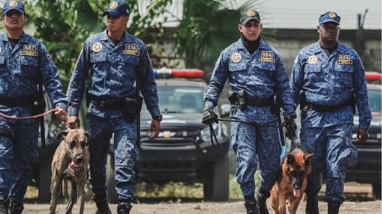 Imagen referencial. Dos perros entrenados junto a guardias de Guayaquil, en junio de 2022. 