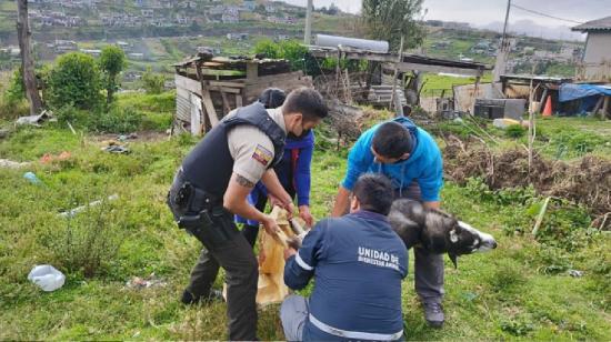 Policías y funcionarios municipales atendieron la denuncia sobre Spayck el 17 de noviembre del 2022.