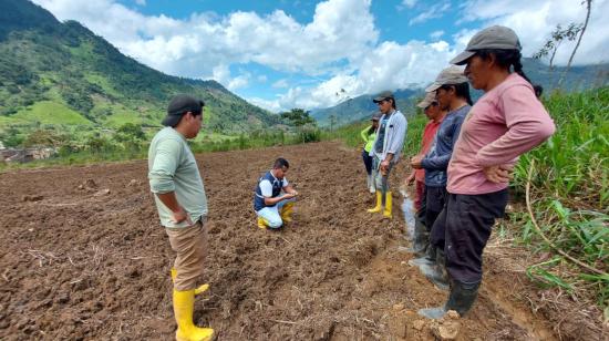 Un proyecto de agricultura en la Amazonía de Ecuador, en septiembre de 2023. 