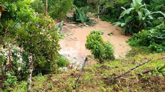 Imagen referencial de una plantación agrícola destruida en Pucará, Loja, en febrero de 2023. 