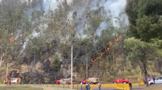 Incendio forestal en el sector de El Trébol, el 7 de septiembre de 2023.