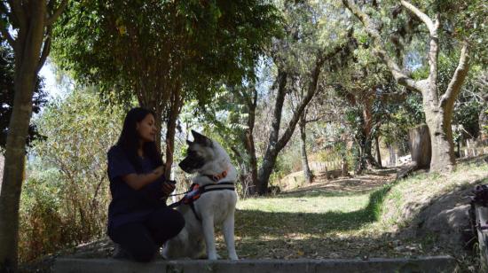 Una mascota recibe terapia psicológica canina por parte de la doctora Nicole Cajas, en un parque de Cumbaya. en Quito, noviembre de 2022.