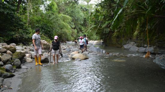 El Gobierno Provincial de Pastaza informó que las tilapias se atrofian para evitar sobrepoblación, que se conviertan invasoras y se coman a especies nativas.
