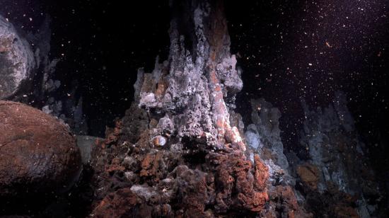 Profundidades de las islas Galápagos en el lugar donde se halló la nueva fuente hidrotermal, el 14 de septiembre de 2023. 