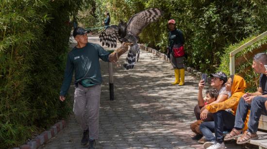 Un trabajador del Zoológico de Guayllabamba camina con un ave, el 9 de septiembre de 2023.