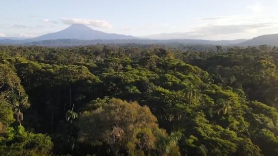 Imagen del área de protección hídrica Yantzaza, en Zamora Chinchipe. 