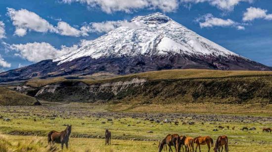 Imagen referencial del volcán Cotopaxi.