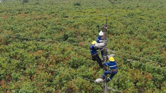 Un trabajador de CNEL EP realiza mantenimiento preventivo a una línea de transmisión de energía en Naranjal, el 22 de octubre de 2023. 