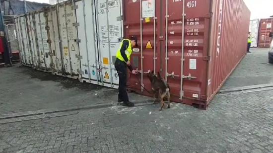 Inspección antidrogas con un perro entrenado en el puerto de Guayaquil, 12 de noviembre de 2023