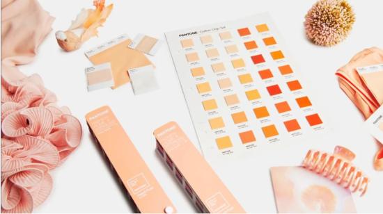 Peach Fuzz en sus distintas gamas de tonalidades, es el nuevo color del año, según Pantone.