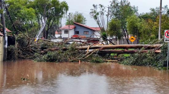 Un sector de Cuenca aislado tras la caída de un árbol, debido a las fuertes lluvias, el 29 de diciembre de 2023.