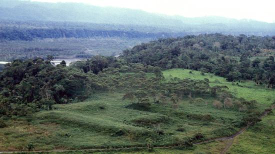 Imagen del espacio en Morona Santiago donde se halló rastros de una ciudad agraria perdida de 2.500 años de antiguedad. 