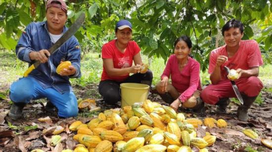 El 90% de quienes producen el cacao en las chacras es mujer.
