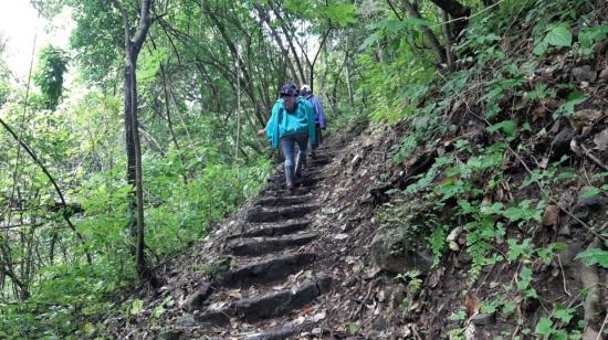 Un sendero turístico en el bosque protector Cerro Blanco, al noroeste de Guayaquil. 