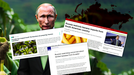 Composición gráfica de la prensa rusa y el presidente de Rusia, Vladimir Putin, sobre las sanciones a los exportadores.