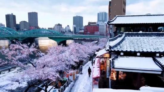 Una imagen panorámica de Tokio en un 'film', creado por el editor Sora. 