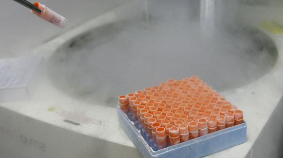 Un investigador científico manipula células madre embrionarias congeladas en un laboratorio, en el centro de investigación del genoma humano de la Universidad de Sao Paulo, Brasil, el 4 de marzo de 2008. 