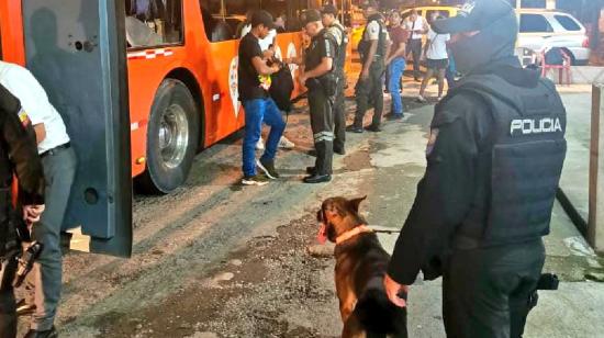 El perro Martin ayudó en el decomiso de marihuana que se transportaba de Esmeraldas a Guayaquil.