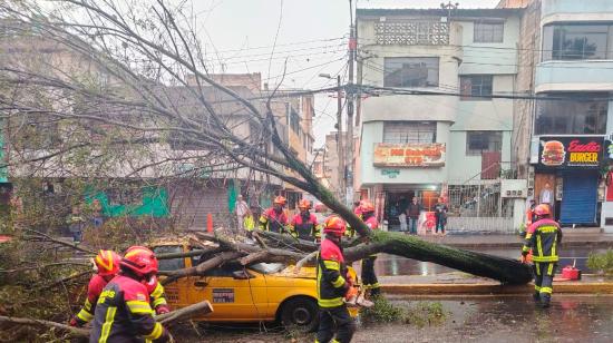 En Calderón se registró una caída de un árbol sobre un taxi, este 2 de abril.