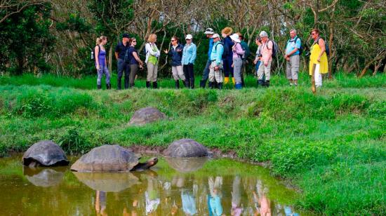 Turistas extranjeros observan tortugas gigantes en Galápagos, Ecuador.